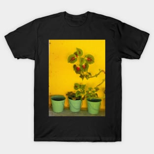 A Greek Garden T-Shirt